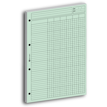 Personnaliser et commander Bloc Audit-Comptable vert avec 6 colonnes de 80 feuillets